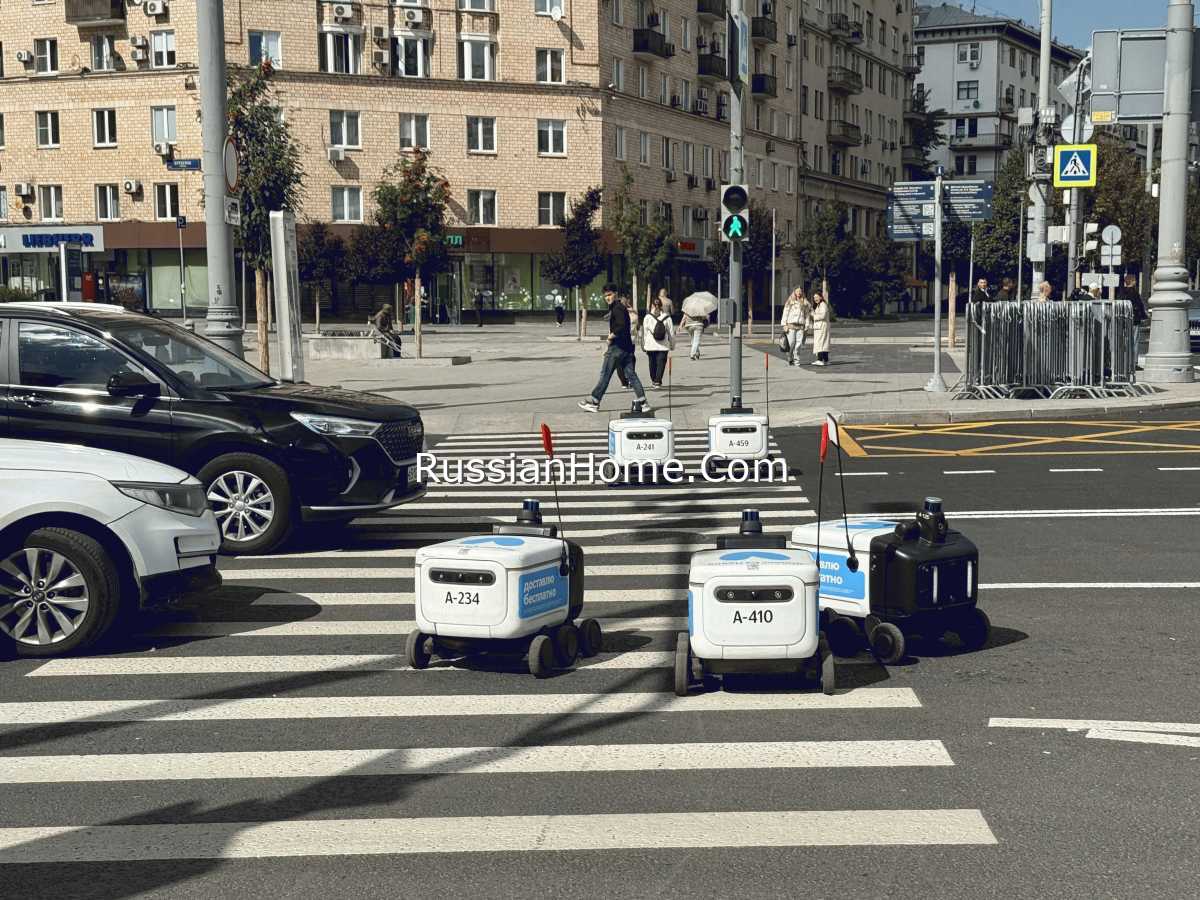 Роботы переходят дорогу по пешеходному переходу